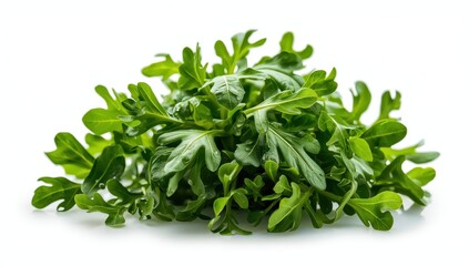 Fototapeta premium Arugula leaves on a white backdrop. Close-up. Cuisine