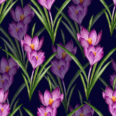 Obraz premium Seamless Pattern Of Purple Crocus Flowers And Green Leaves On Dark Blue Background