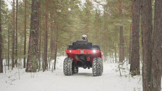 Red atv charges through snowy woods, closeup shots highlight headlights, chunky studded tires and suspension travel, rider in helmet leans into maneuver, engine roar and momentum, winter rally energy