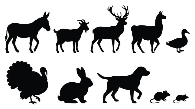 black silhouettes of various animals on white background