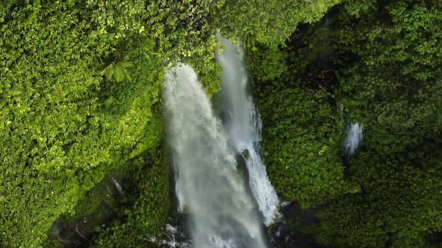 Sendang Gile waterfall plunging down a vibrant, green covered rock face, powerful forces of nature and the rich biodiversity of tropical jungle environment in North Lombok. Aerial top down drone shot