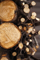 Logs and branches stacked for firewood collection in a storage area showing wood texture and...