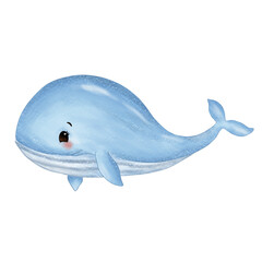 Cute Whale Ilustration Cartoon 
