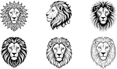 Lion head sketch vector set with detailed mane line art wildlife animal illustration collection isolated design © pappa