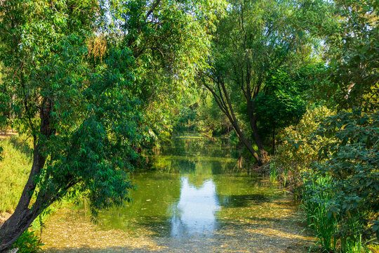 Canal Nacional, Parque Lineal Canal Nacional, Ciudad de Mexico, CDMX, Coyoacan, Iztapalapa, Xochimilco, Sur de la CDMX, Mexico, Parque corredor, &Aacute;rea Natural Protegida.