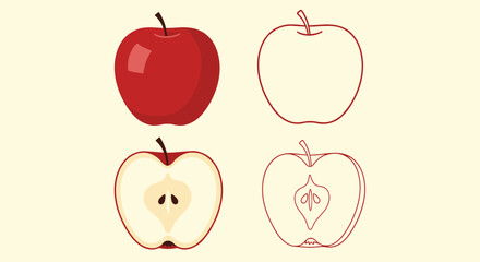 Obraz premium Four variations of a ripe red apple including a solid colored version, a simple outline, a cut half, and a detailed linear drawing style.