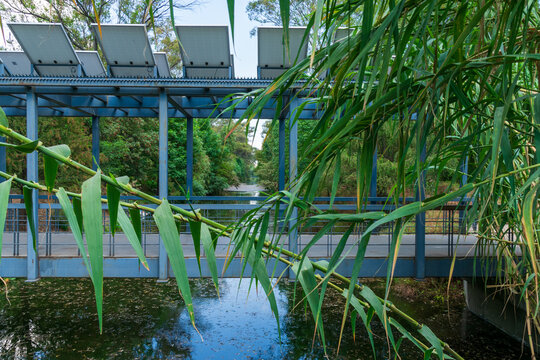 Puente peatonal de Canal Nacional, Parque Lineal Canal Nacional, Ciudad de M&eacute;xico, CDMX, Coyoac&aacute;n, Iztapalapa, Xochimilco, Sur de la CDMX, M&eacute;xico, Parque corredor, &Aacute;rea Natural Protegida.