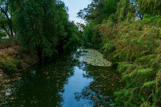 Canal Nacional, Parque Lineal Canal Nacional, Ciudad de Mexico, CDMX, Coyoacan, Iztapalapa, Xochimilco, Sur de la CDMX, Mexico, Parque corredor, &Aacute;rea Natural Protegida.
