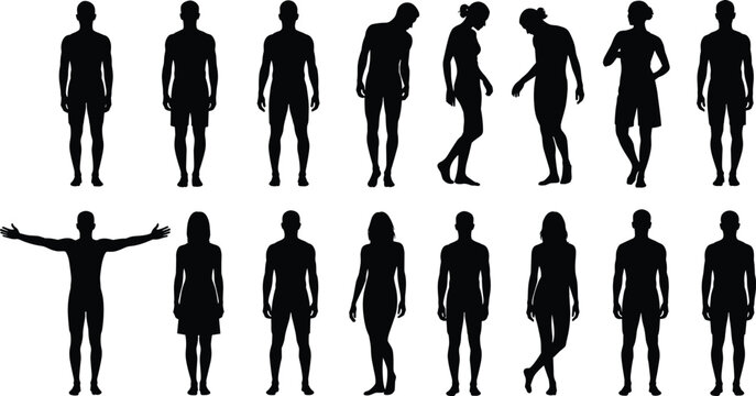Collection of human silhouettes in various standing poses, male and female figures set isolated for anatomy reference, design, and illustration use