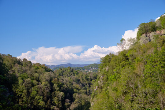 View of the canyon of Khosta river in Khosta Yew-Boxwood Grove. Sochi. Khosta District, Russia