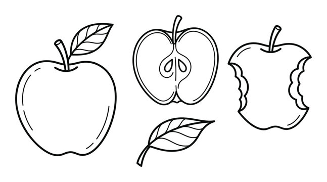 Apple fruit whole cut bitten and leaves illustration on transparent background, fruit