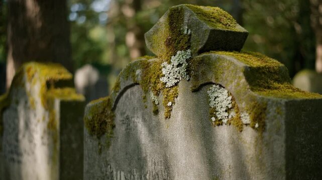 Moss Covered Antique Gravestones in Historic Cemetery Woods