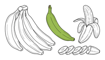 Banana fruit vector set including bunch of whole fruits and peeled banana with slices on checkered © GoDesigner