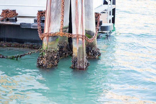 Wooden dock pilings submerged in turquoise water with barnacles and rusted chains visible, supporting a boat structure in a coastal setting