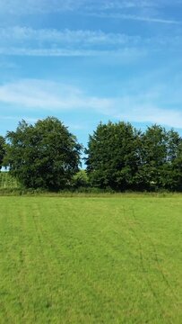 Lush green field with trees under a clear blue sky in the Morvan countryside, France. Peaceful rural scene ideal for nature and travel concepts.