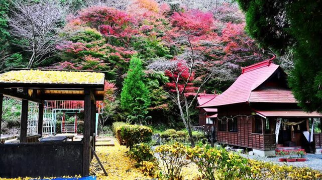 秘境に染まる秋、お乳の神様が守る紅葉の聖域
「ご祭神「豊玉姫」が祀られ、安産やお乳の出にご利益がある「お乳の神様」として知られるパワースポットです。」
阿蘇市狩尾(産神社)
Autumn colors the hidden paradise, a sacred place of autumn leaves protected by the goddess of milk