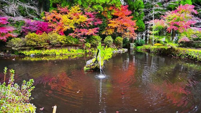 一期一会 Images – Browse 443 Stock Photos, Vectors, and Video