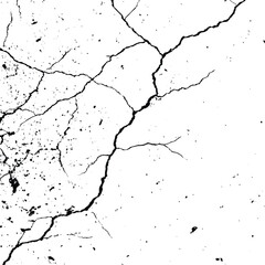 Obraz premium Intricate black lines spread across a stark white canvas forming abstract patterns resembling dried riverbeds or cracks in ancient earth
