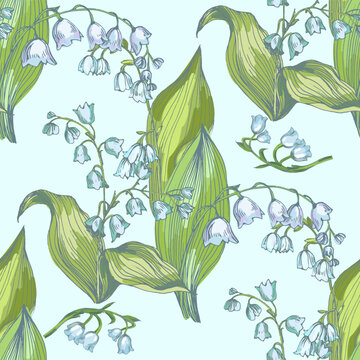 Beautiful lily of the valley flowers in spring garden, white Convallaria majalis blossoms with green leaves, delicate woodland floral background, seasonal spring nature