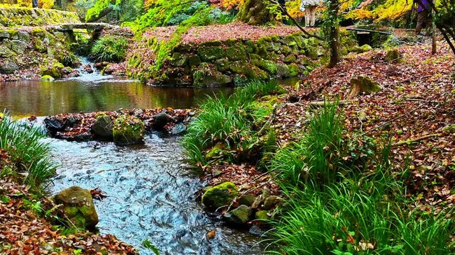 清らかなせせらぎと歴史ある石橋を彩る紅葉の風景
「手前のせせらぎ（小川）の動きと、奥にある歴史的な石橋、そして散り敷かれた落ち葉が組み合わさった、非常に「動き」と「情緒」のある映像です。」
阿蘇市的石(隼鷹天満宮)
Autumn foliage adorning a clear stream and historic stone bridge