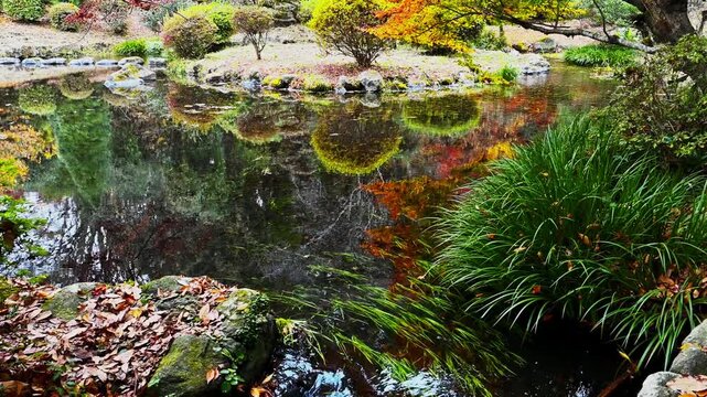 緑の隙間から見つけた、秋が描く水上の万華鏡。
「手前に深い緑の植物を配した「額縁構図」のようになっており、そこから覗く池の鮮やかなリフレクション」
阿蘇市的石(隼鷹天満宮)
A kaleidoscope of autumn colors on the water, discovered through the gaps in the greenery.