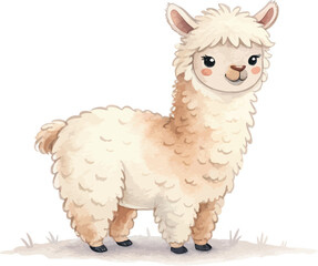 Fototapeta premium Watercolor Alpaca Illustration, Cute Fluffy Farm Animal Clipart, Hand Painted Style, vector isolated on white background