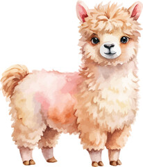 Fototapeta premium Watercolor Alpaca, Cute Fluffy Farm Animal Clipart, Hand Painted Style, vector Illustration isolated on white background