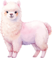Fototapeta premium Watercolor Alpaca Clipart, Cute Boho Farm Animal Illustration, Isolated on White