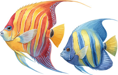 Watercolor Angelfish Illustration, Reef Fish Clipart, isolated on white background © Tanvir Rana