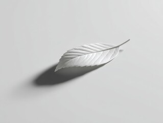 Obraz premium Minimalist White Leaf on Smooth Surface with Soft Shadow in Elegant Composition for Modern Design Projects