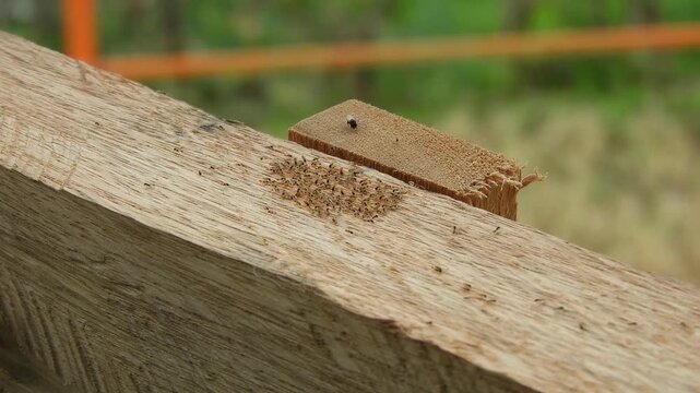 Close up of traditional timber framing joinery on a wooden beam