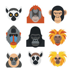 Obraz premium A collection of nine flat-design illustrations featuring the faces of various primates including monkeys, apes, and lemurs.