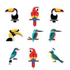 Obraz premium A vibrant collection of nine tropical birds including toucans, macaws, kingfishers, and a hornbill, each perched on a branch.