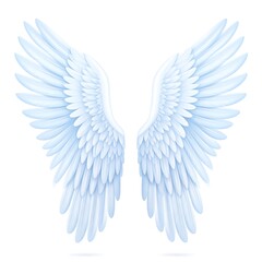 Fototapeta premium Beautiful symmetrical stylized illustration of angel wings on a white background