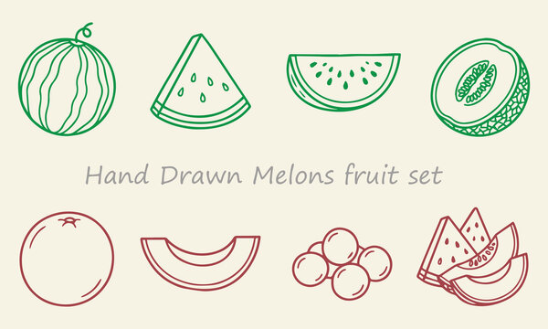 Hand drawn melons fruit set sweet refreshing and juicy fruits isolated on white background ideal for summer themes and healthy eating concepts.