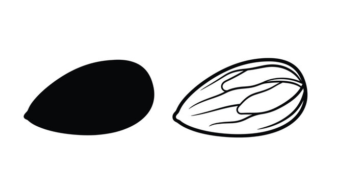 Illustration of an almond in shell and without black and white