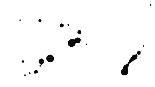 Abstract black ink splatter with scattered droplets and organic shapes, isolated on transparent background