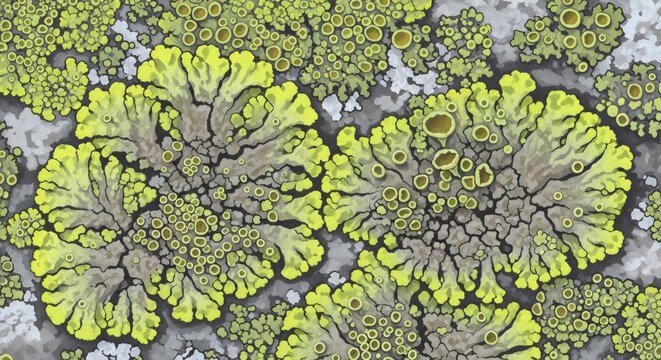 A closeup abstract pattern of green moss and ivy foliage creates a natural tree bark texture on a garden wall amidst spring flora