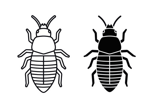 An illustration depicts two bedbugs in black and white line art with one filled.