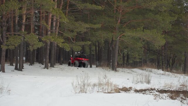 Red quad threads narrow snowy forest, driver navigates tight pine corridors with precise steering, low winter light, close branches, intense technical trail run, gripping offroad action.