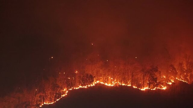 Terrifying wildfire burning through forest at night, dangerous and catastrophic disaster. massive wall of flame and intense smoke from devastating blaze threatening environment