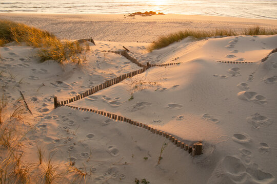 Wooden path at Costa Nova d'Aveiro, Portugal, over sand dunes with ocean view, evening. Wooden footbridge of Costa Nova beach . Aveiro, Portugal.