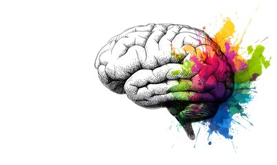 Fototapeta premium A detailed hand drawn sketch of the human brain with bright artistic colorful paint splashes expressing creativity innovation and thought on a clean w
