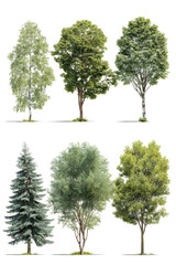 Fototapeta premium Diverse trees stand, isolated against a black background