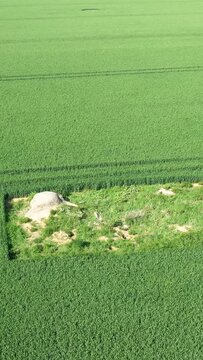 Drone shot of a green agricultural field with a concrete bunker and patch of bare ground, possibly part of the historic Batteries Hillman site in Normandy, France.
