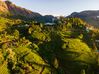 Obraz premium Tea Plantation Road Aerial Kerala,Munnar Curvy Road Tea Fields