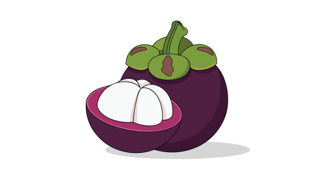 Exotic tropical mangosteen fruit illustration showcasing its vibrant purple exterior and the juicy, sweet white inner pulp on a clean background.