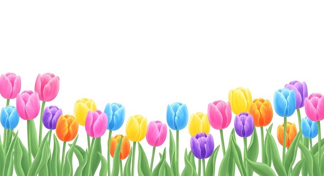 Vibrant tulips celebrating easter springtime with colorful blooms and green grass