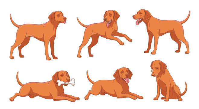 Various poses of a playful orange dog in a cartoon style  