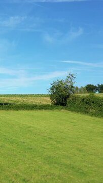 Wide view of lush green fields and hedgerows beneath a clear blue sky in the Morvan countryside, France. Peaceful rural landscape with natural vegetation and open space.
